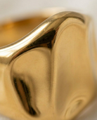 Clara Ring macro detail