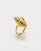 Marisol Golden Seashell Ring hero packshot