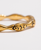 Poisson fish ring macro detail
